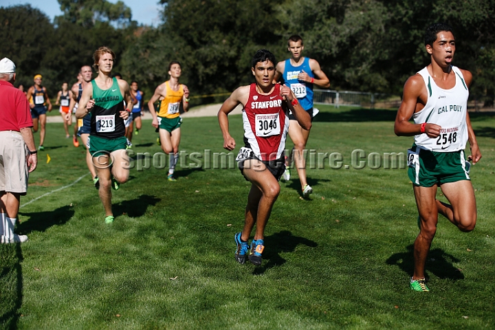 2014StanfordCollMen-217.JPG - College race at the 2014 Stanford Cross Country Invitational, September 27, Stanford Golf Course, Stanford, California.